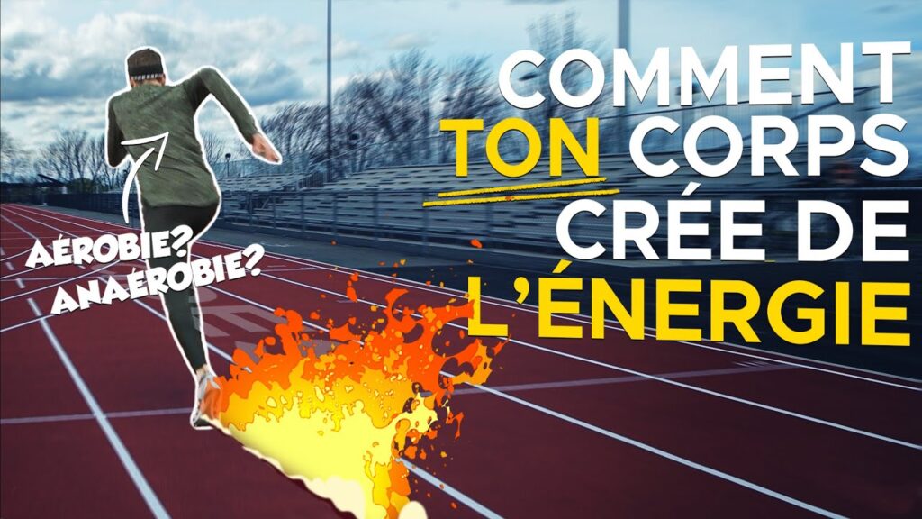 Énergie corporelle décryptée : comprendre l’aérobie et l’anaérobie pour optimiser vos performances